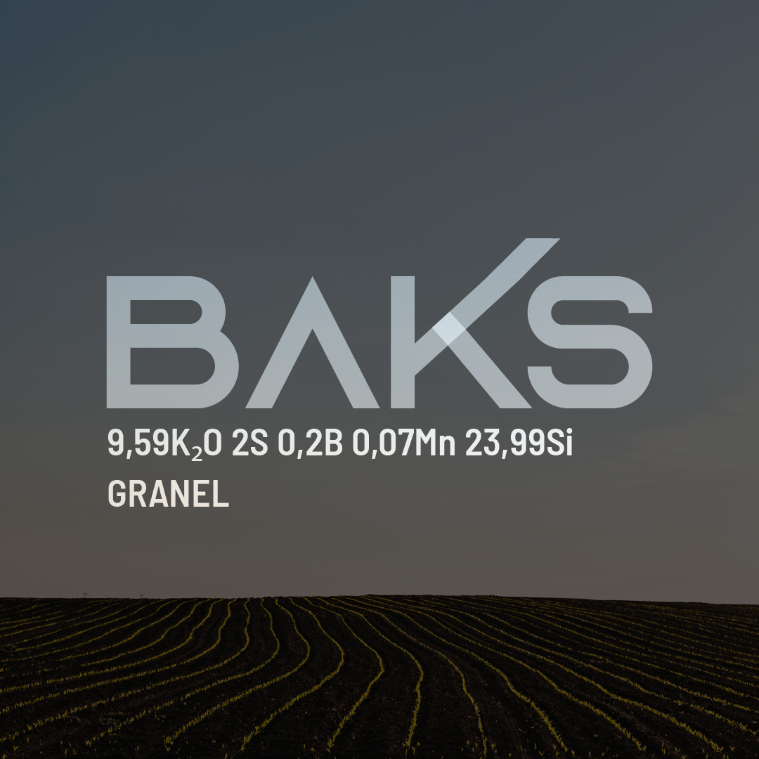  BAKS 9,59 K2O + 2,00 S + 0,20 B + 0,07 Mn + 23,99 Si Granel